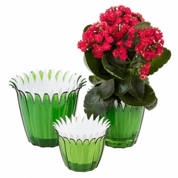 Tugbasan Tb 0892 3 Lu Lale Saksi Seti Yesil Evidea