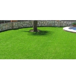 Plantistanbul 4 Karisim Park Cim Tohumu 1 Kg Evidea