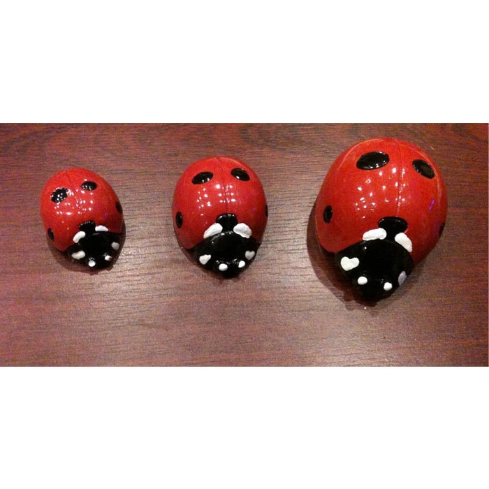 3�lü Uğur Böceği Set Evidea