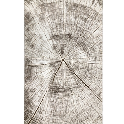 Payidar Gold Plus 2642A Modern Halı (Gold / Vizon) - 80x150 cm